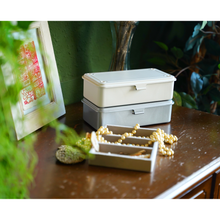 Load image into Gallery viewer, TOYO Trunk Shape Toolbox T-190 SV (Silver)