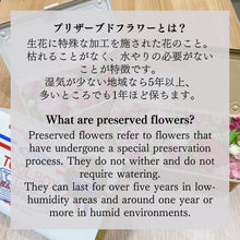 Load image into Gallery viewer, TOYO Preserved Flower Toolbox T-190 Flower-Box