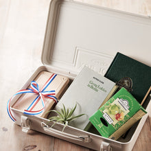 Load image into Gallery viewer, TOYO Trunk Shape Toolbox T-360 W (White)