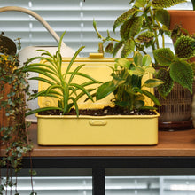 画像をギャラリービューアに読み込む, トランク型工具箱 T-190 Y (イタリアンイエロー)