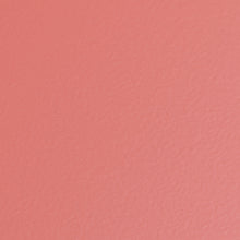 Load image into Gallery viewer, TOYO Trunk Shape Toolbox T-190 P0 (Living coral)