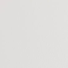 Load image into Gallery viewer, TOYO Trunk Shape Toolbox T-190 W (White)