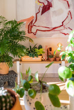 Load image into Gallery viewer, Parts Box M-8 PLANT LOVER TR (Terracotta)