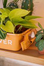 Load image into Gallery viewer, Parts Box M-8 PLANT LOVER TR (Terracotta)