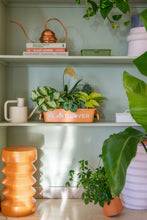 Load image into Gallery viewer, Parts Box M-8 PLANT LOVER TR (Terracotta)