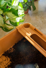 Load image into Gallery viewer, Parts Box M-8 PLANT LOVER TR (Terracotta)