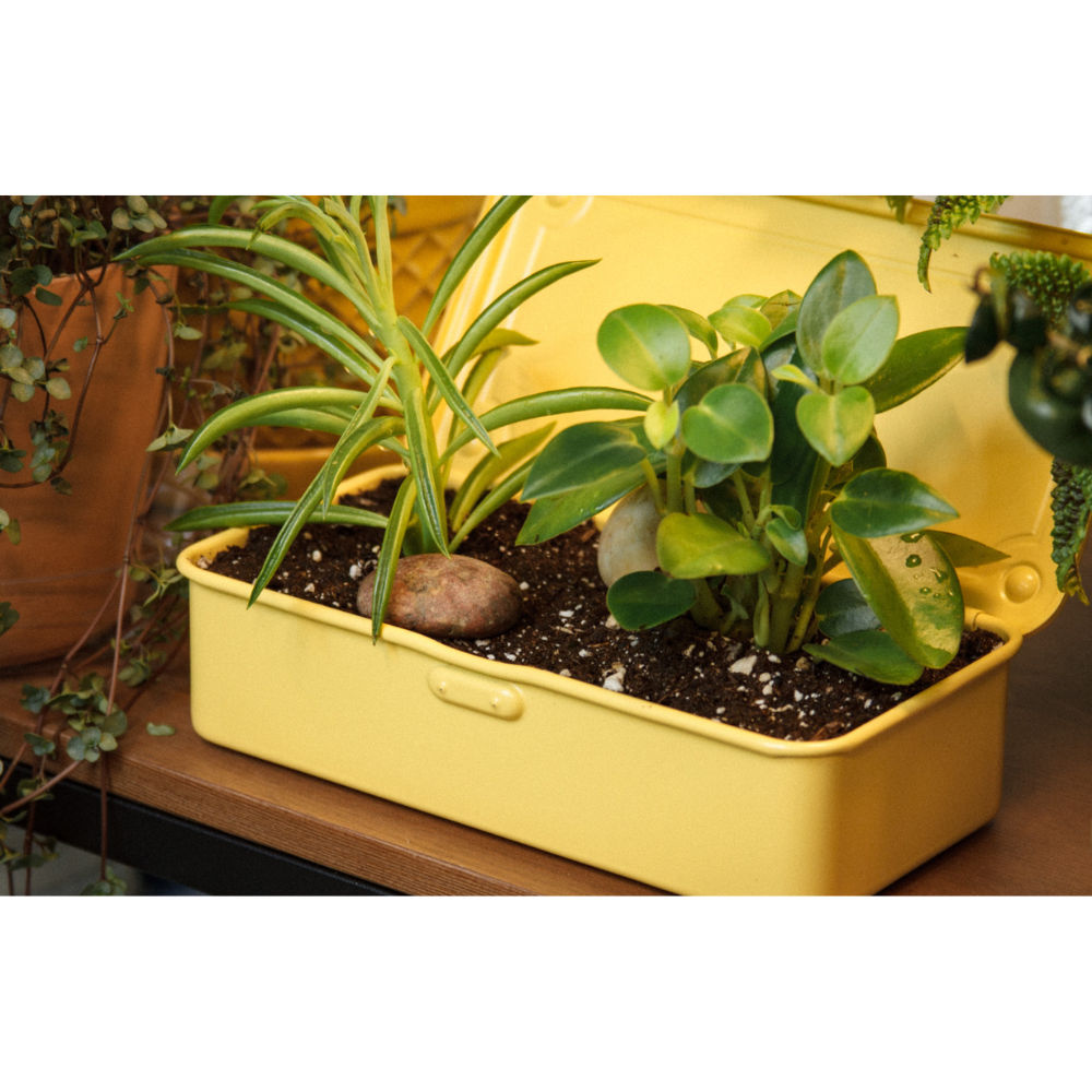 TOYO Trunk Shape Toolbox T-190 Y (Italian yellow) | 東洋スチール