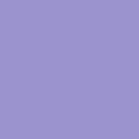 TOYO Trunk Shape Toolbox T-190 FM (Fujimurasaki)*Light purple