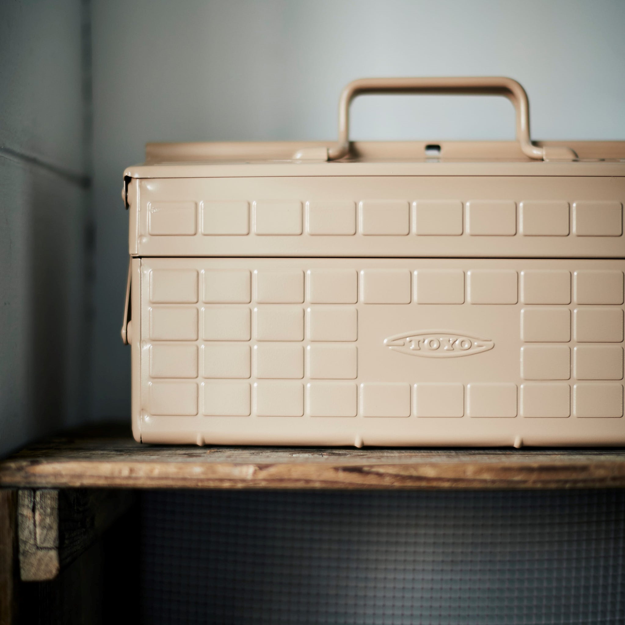 Toyo Steel Large Seed Storage Box, Beige